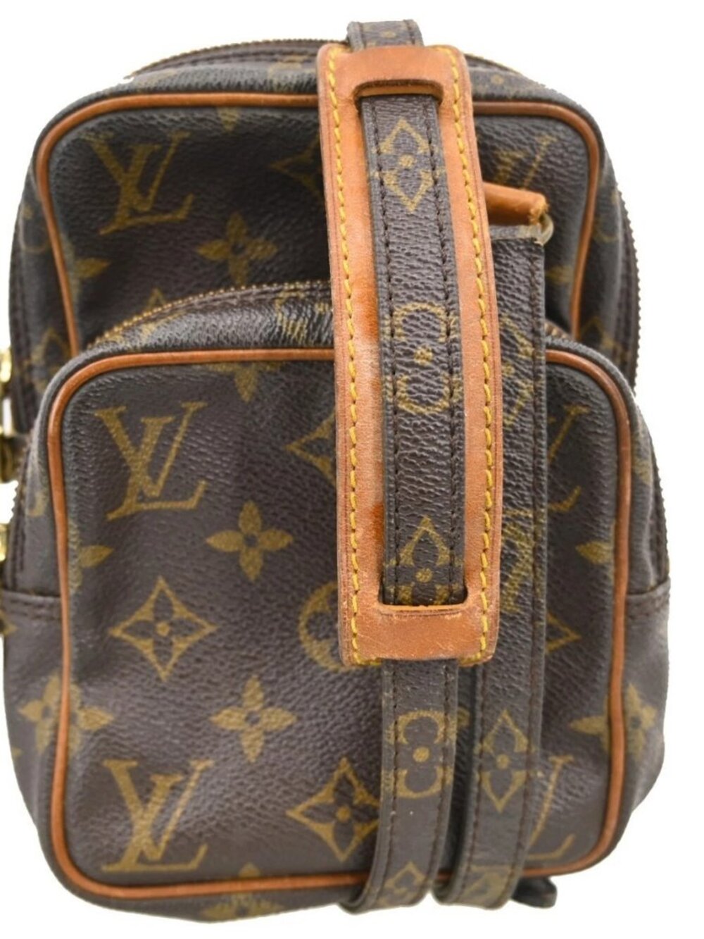 LOUIS VUITTON MINI AMAZON CROSSBODY BAG MONOGRAM